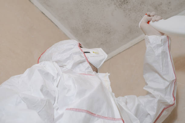 Professional Mold Removal in Summerset, SD