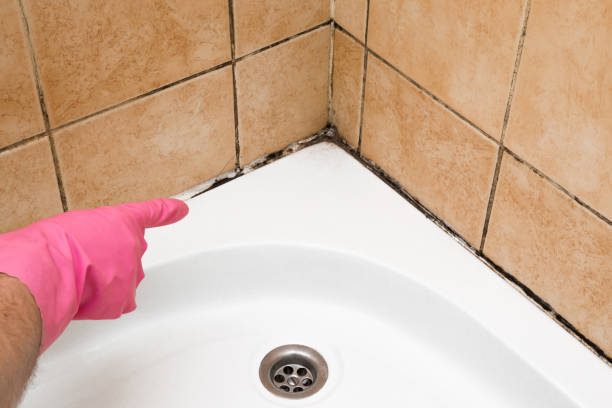 Best Local Mold Removal Service  in Summerset, SD
